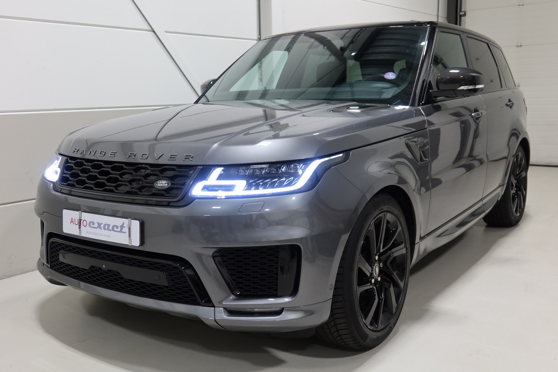 53645838